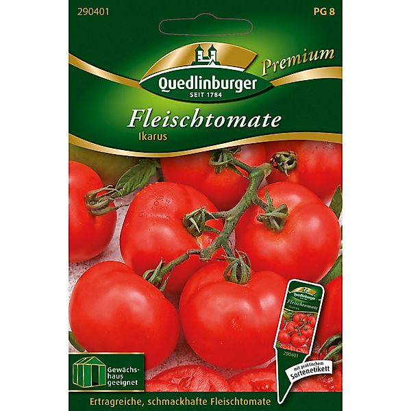 Quedlinburger Fleisch-Tomaten Ikarus Loses Saatgut günstig online kaufen