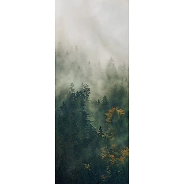 Komar Fototapete Vlies Tales of the Carpathians Panel 100 x 250 cm günstig online kaufen