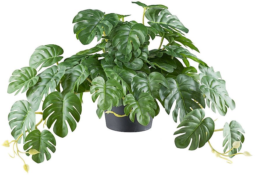 Kunstpflanze Splitphilodendron, Creativ green, Höhe 40 cm, mit naturgetreue günstig online kaufen