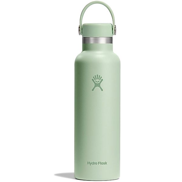Hydro Flask 21 OZ Standard Mouth Flex Cap Aloe günstig online kaufen