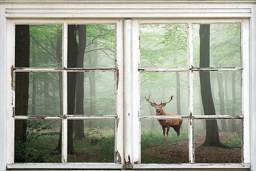 queence Leinwandbild Wald, Bäume, Fensterblick, Hirsch, Hirschbilder, Lands günstig online kaufen