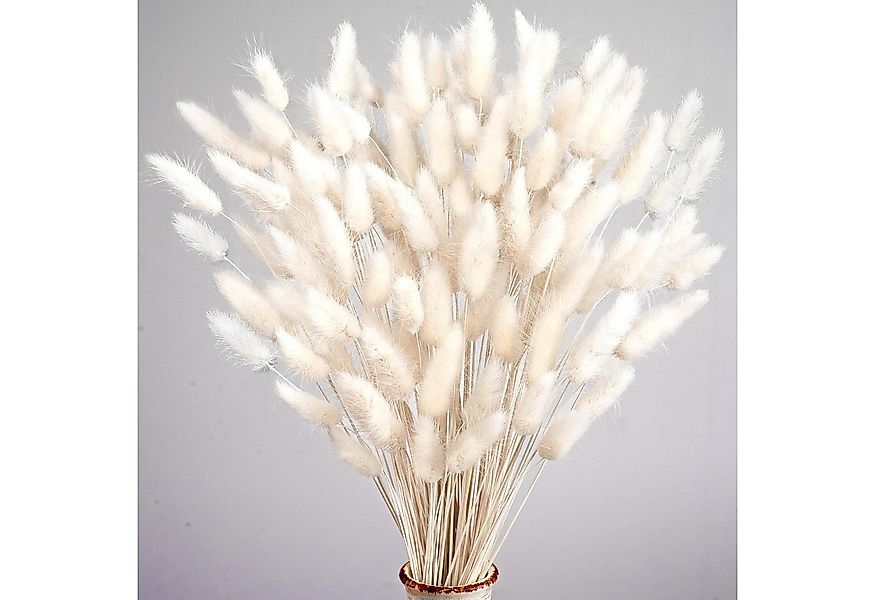 Kunstblume 120 Stück Pampasgras Klein, Hasenschwanzgras Getrocknet Pampasgr günstig online kaufen