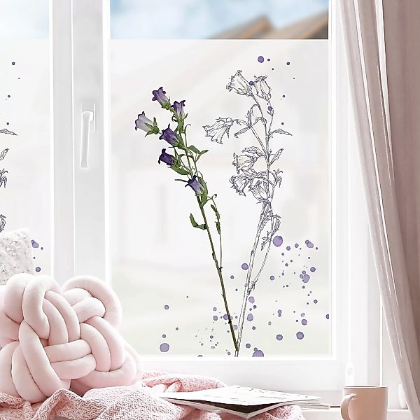 Fensterfolie Botanisches Aquarell - Glockenblume günstig online kaufen