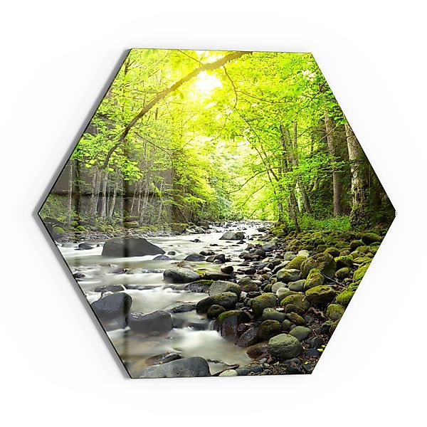 DEQORI Glasbild 'Steiniges Flussbett', 'Steiniges Flussbett', günstig online kaufen