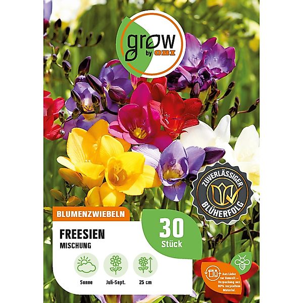 GROW by OBI Freesien Mischung Höhe ca. 25 cm Freesia single günstig online kaufen