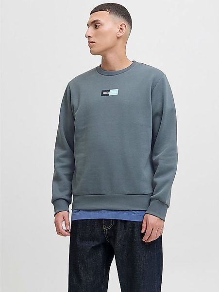 Jack & Jones Sweater JJPAN SWEAT CREW NECK günstig online kaufen