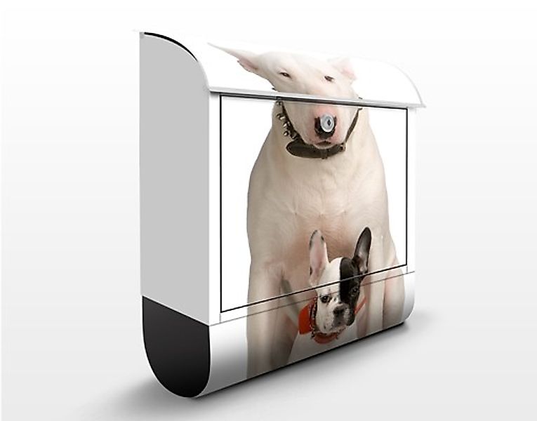 Briefkasten Bull Terrier And Friend günstig online kaufen