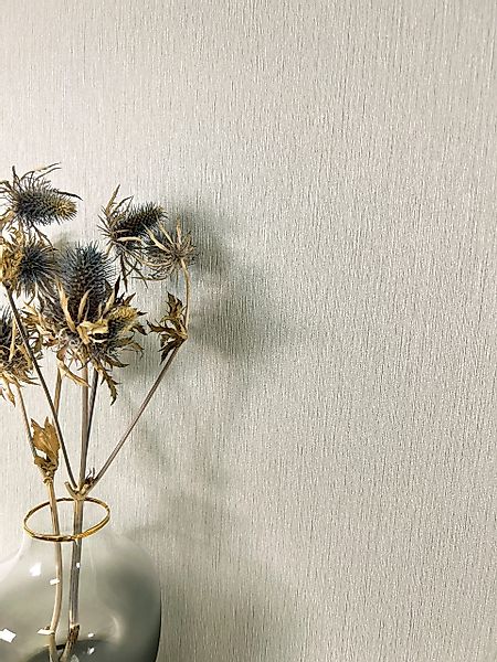 Newroom Vliestapete, Grau Tapete Modern Unifarbe günstig online kaufen