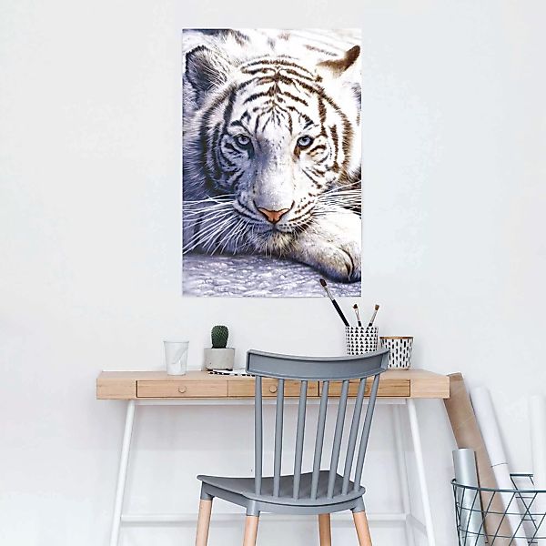 Reinders Poster "Weißer Tiger", (1 St.) günstig online kaufen