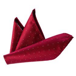 DonDon Einstecktuch DonDon Herren Hanky 25 günstig online kaufen