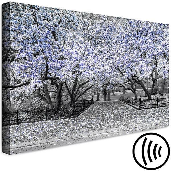 Wandbild Blühende Magnolie - Magnolienbaum mit Blumen in Violett-Tönen XXL günstig online kaufen