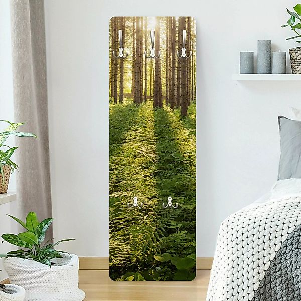 Wandgarderobe Holzpaneel Natur & Landschaft Sonnenstrahlen in grünem Wald günstig online kaufen