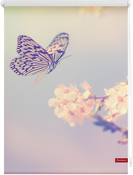 LICHTBLICK ORIGINAL Seitenzugrollo "Rollo Klemmfix, ohne Bohren, Verdunkelu günstig online kaufen