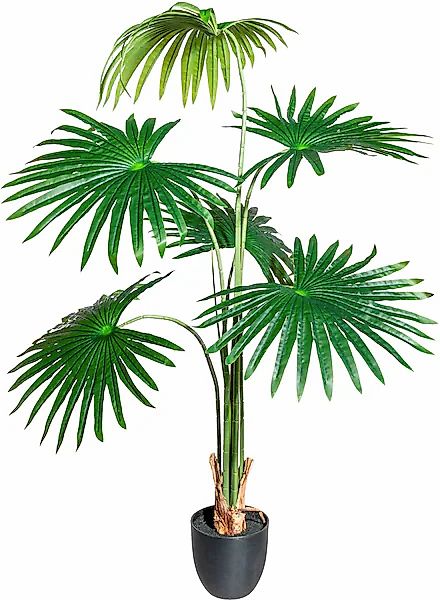 Creativ green Kunstbaum »Washingtonia« günstig online kaufen