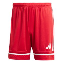 adidas Performance Trainingsshorts adidas Herren Short günstig online kaufen