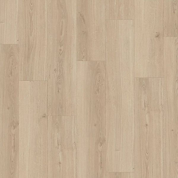 Parador Laminat Basic 600 Eiche Studioline pure Breite Landhausdiele 4-V-Fu günstig online kaufen