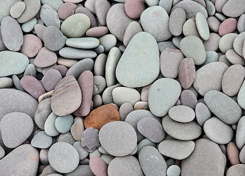 Papermoon Fototapete »Pebbles« glatt günstig online kaufen