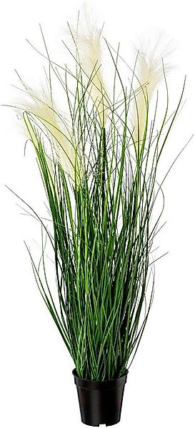 Kunstgras Pampasgras Gras, Creativ green, Höhe 92 cm günstig online kaufen