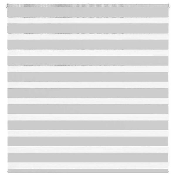 vidaXL Doppelrollo Hellgrau 145x100 cm Stoffbreite 140,9 cm Polyester 40144 günstig online kaufen