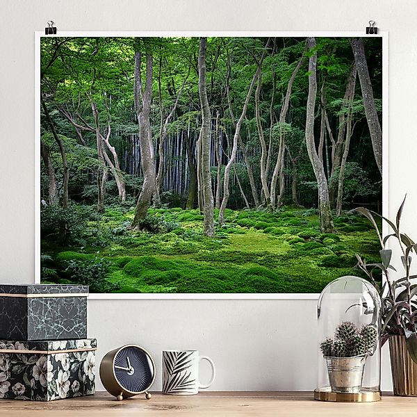 Poster - Querformat Japanischer Wald günstig online kaufen