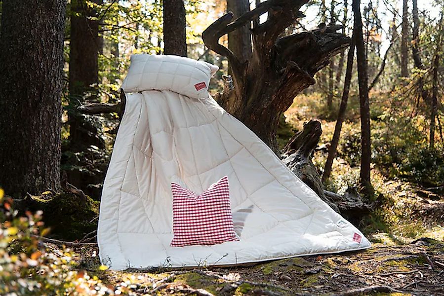 Hefel Naturhaarbettdecke »Bio Zirbe, Bettdecke 135x200 cm, 155x220 cm« norm günstig online kaufen