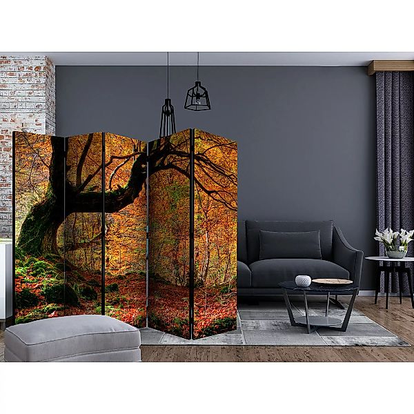 home24 Paravent Autumn Forest and Leaves günstig online kaufen