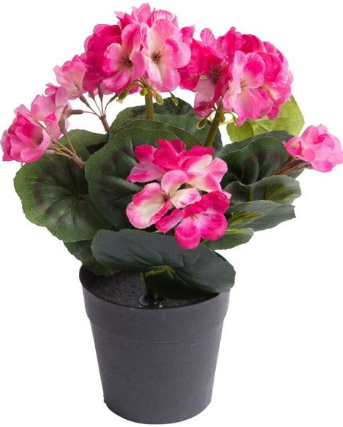 Botanic-Haus Kunstblume "Geranie mit 6 Stielen" günstig online kaufen