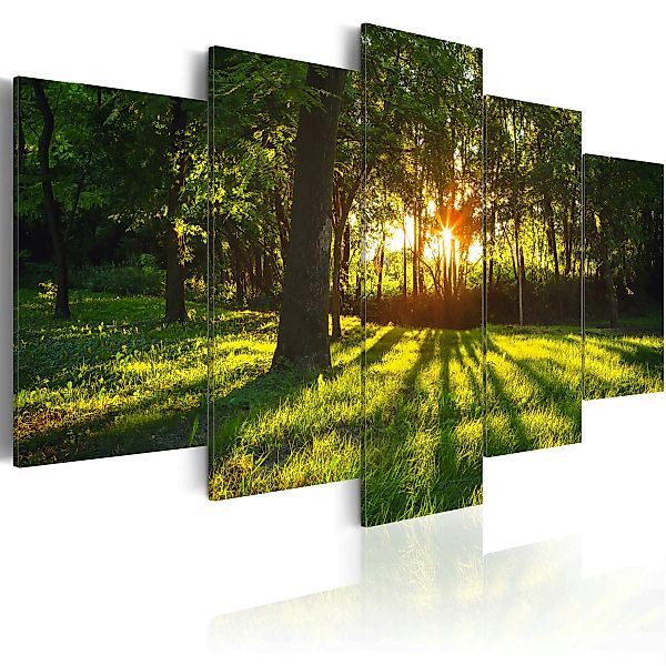 Wandbild - The forest reflection günstig online kaufen