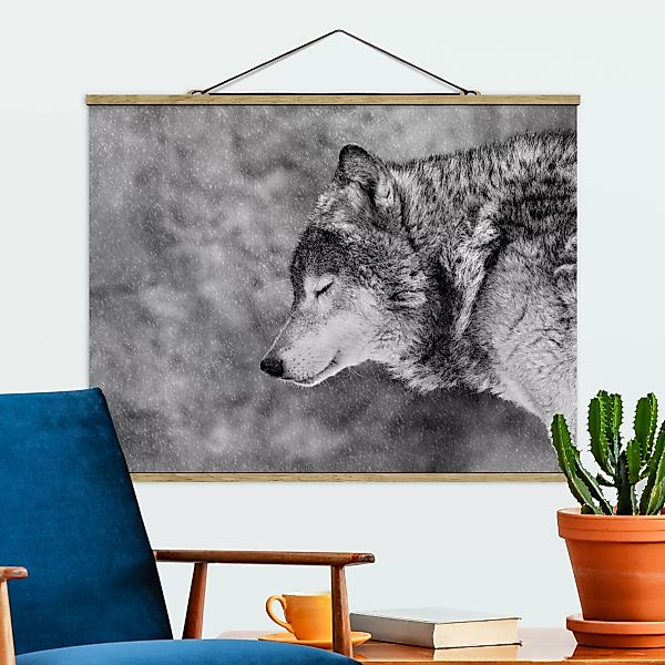 Stoffbild Tiere mit Posterleisten - Querformat Winter Wolf günstig online kaufen