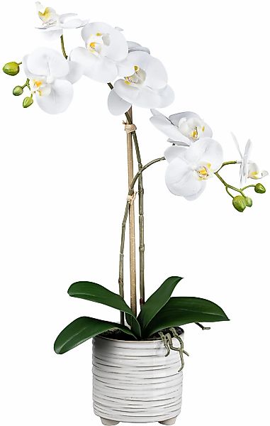 Kunstorchidee Orchidee Phalaenopsis Orchidee, Creativ green, günstig online kaufen