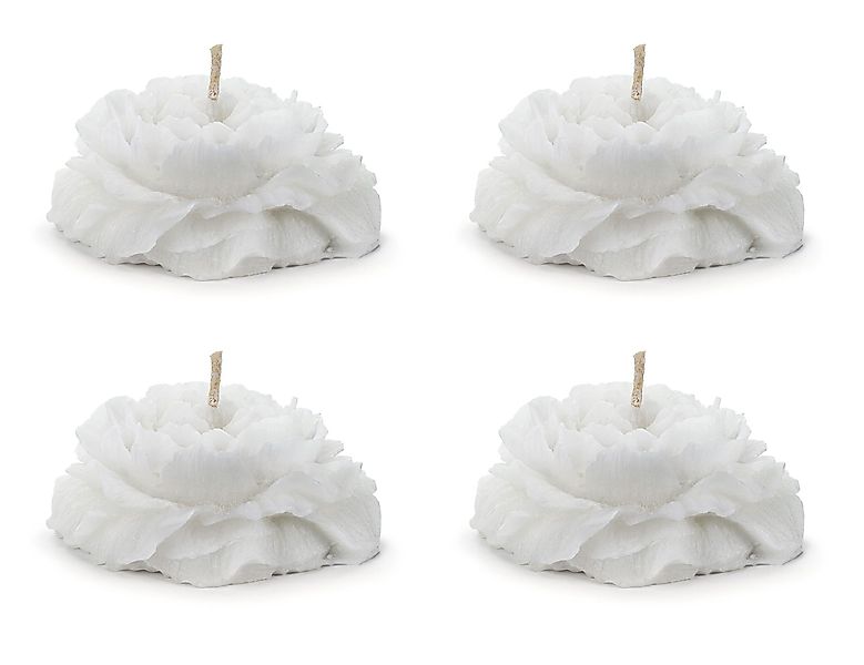 partydeco Schwimmkerze, Schwimmkerzen Pfingstrose Wachs 4x8cm günstig online kaufen