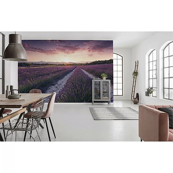 KOMAR Vlies Fototapete - Lavender Dream - Größe 450 x 280 cm mehrfarbig günstig online kaufen