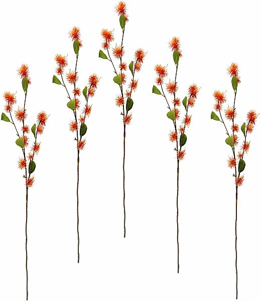 I.GE.A. Kunstblume "Zaubernuss", 5er Set günstig online kaufen