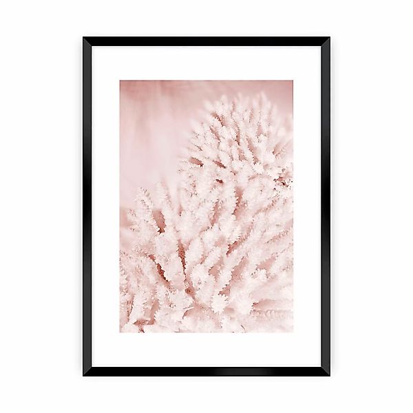 Poster Pastel Pink II, 21 x 30 cm, Rahmen wählen: schwarzer Rahmen günstig online kaufen