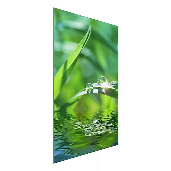 Alu-Dibond Bild Blumen - Hochformat 2:3 Green Ambiance II günstig online kaufen