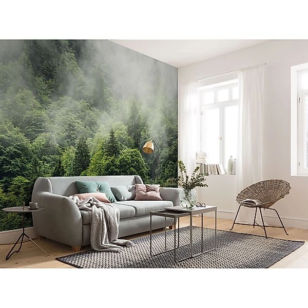 Komar Vliestapete »Digitaldruck Vlies - Forest Land - Größe 400 x 250 cm« b günstig online kaufen