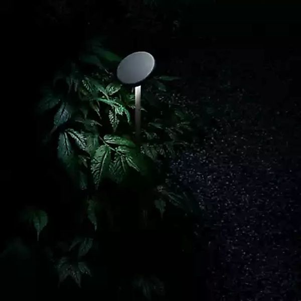 Flos Landlord Soft Sockelleuchte LED, grau - 30 cm günstig online kaufen