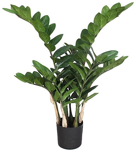 Creativ green Kunstpflanze "Zamifolia" günstig online kaufen
