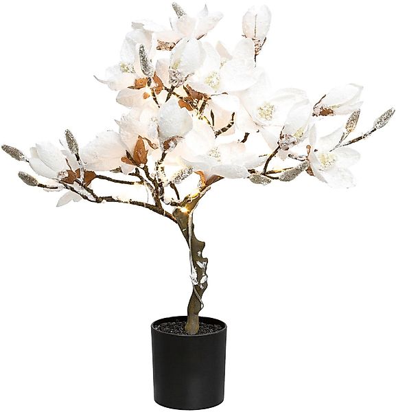 Kunstpflanze Magnolie, Creativ deco, Höhe 58 günstig online kaufen