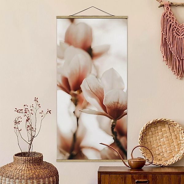Stoffbild mit Posterleisten Zarte Magnolienblüten im Lichtspiel günstig online kaufen