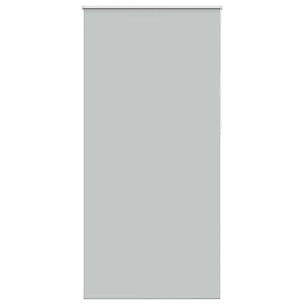 Verdunklungsrollo, vidaXL, Verdunkelungsrollo Hellgrau 100x230 cm günstig online kaufen