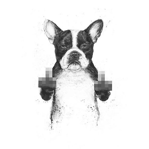 Poster / Leinwandbild - Censored Dog günstig online kaufen