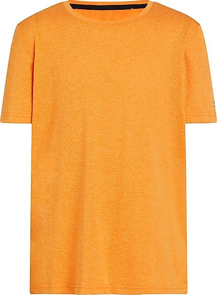 Energetics Funktionsshirt Ju.-T-Shirt Tibo B MELANGE/BLACK günstig online kaufen