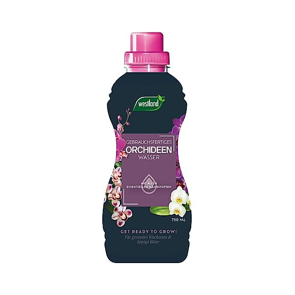 Westland Orchideen-Wasser 750 ml günstig online kaufen