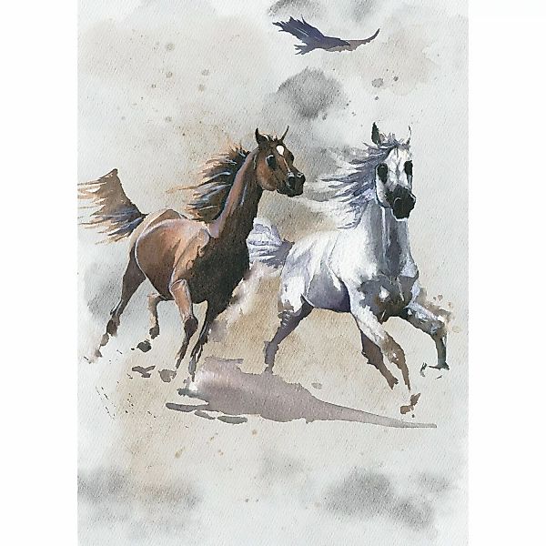 Komar Vliesfototapete Wild Ride 200 cm x 280 cm günstig online kaufen