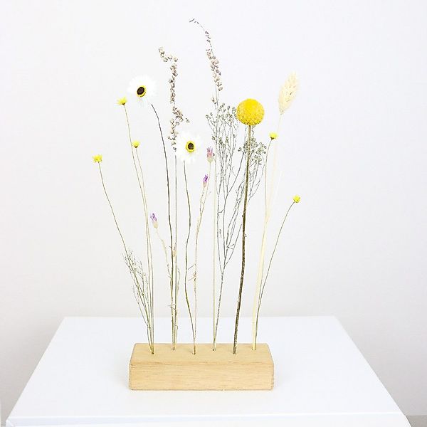 Trockenblume Flowerbar Sommerwiese, Trockenblumen & edle günstig online kaufen