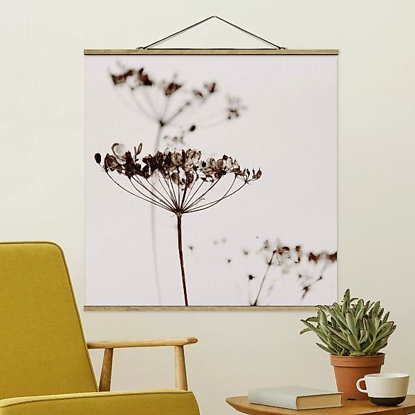 Stoffbild mit Posterleisten Trockenblume im Schatten günstig online kaufen