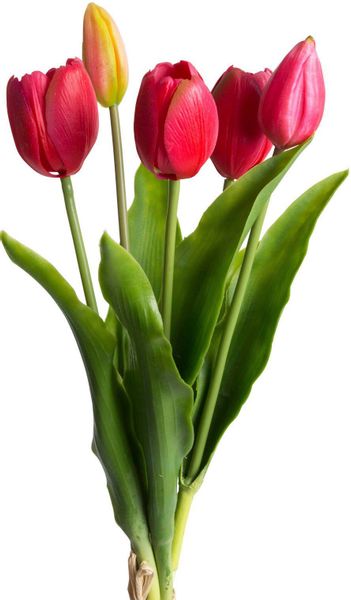 my home Kunstblume "Tulpenbündel Holland real Touch" günstig online kaufen
