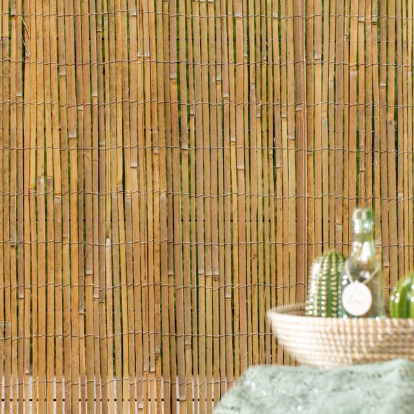 Windhager Sichtschutzzaunmatten natürlicher Sicht- und Windschutz für Balko günstig online kaufen