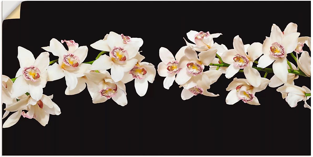 Artland Wandfolie "Weiße Orchideen", Blumen, (1 St.) günstig online kaufen